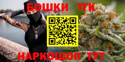 индика Краснознаменск