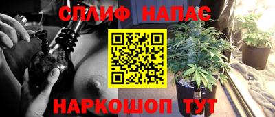 индика Краснодар