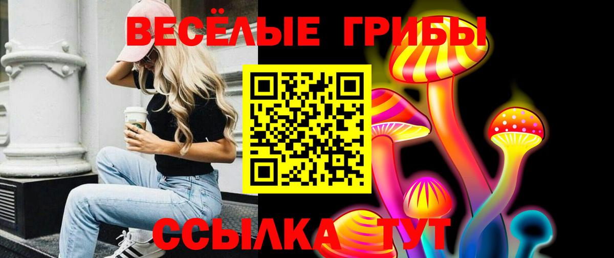 Галлюциногенные грибы Cubensis Феодосия